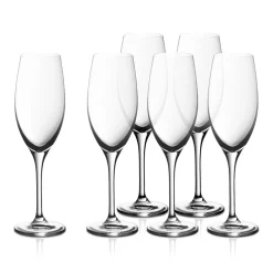 EasyPlus Champagnerkelche, 6 Stück
