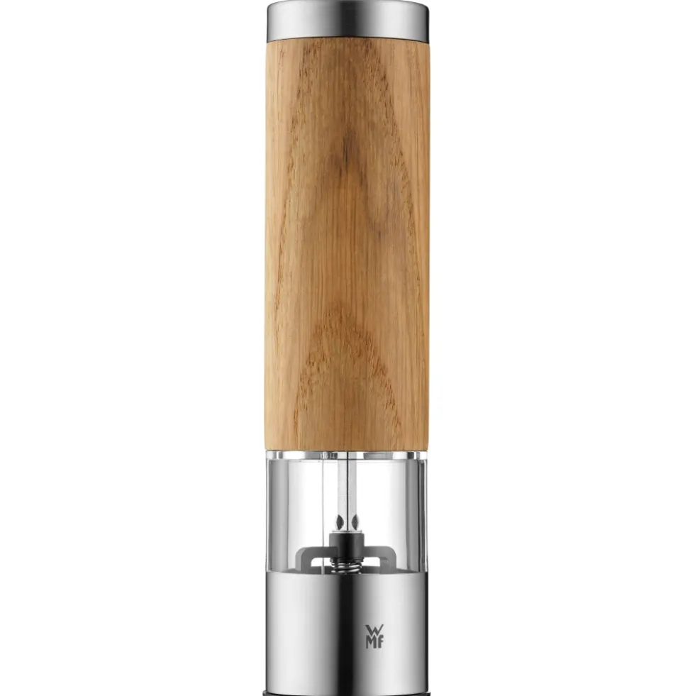 Elektrische Mühle