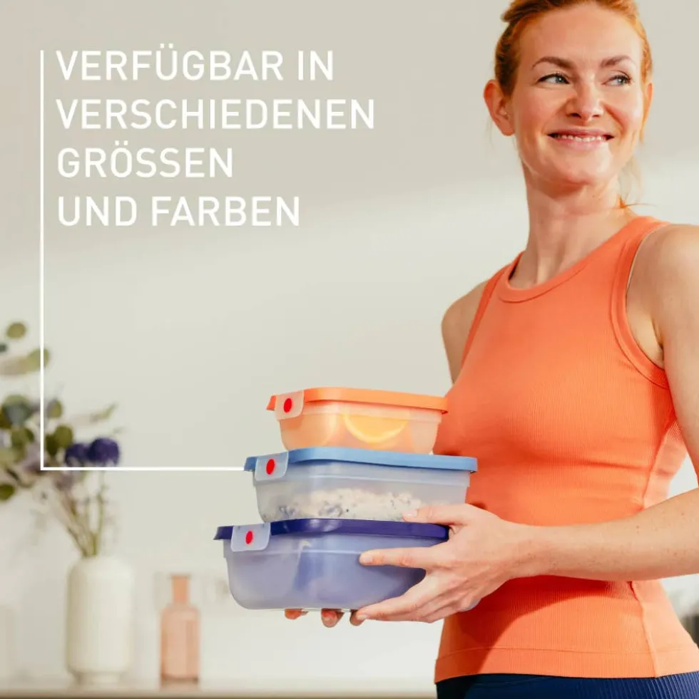 oneClick Frischhaltedosen 3-teiliges Set (3x 0,5 L) N12305