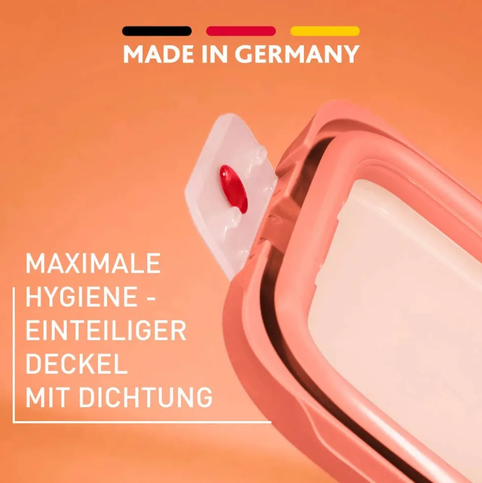 oneClick Frischhaltedosen 3-teiliges Space Saving Set (0,5 / 1,2 / 2,3 L) N12303