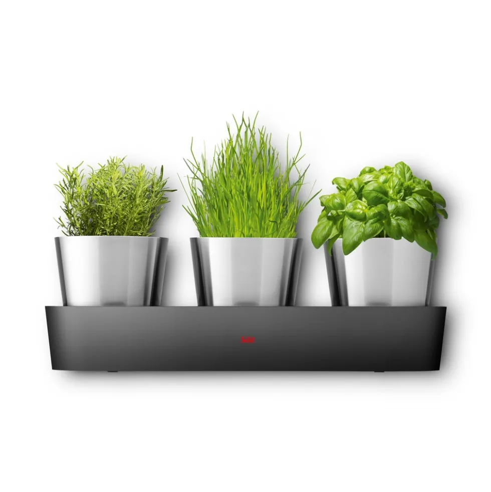 Silit Collexio Indoor Kräutergarten, 3-teilig