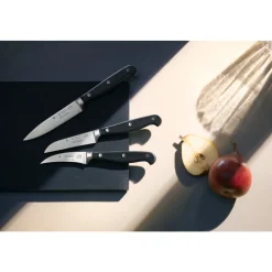 Spitzenklasse Plus Obst-/Gemüsemesser-Vorteils-Set*, 3-teilig